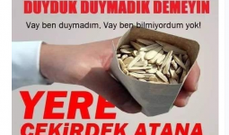 الإعلان الذي نشرته السلطات التركية بشأن غرامة إلقاء قشور البزر