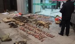 أحد الأسواق الصينية التي تبيع وتذبح الحيونات البرية بطريقة غير مشروعة