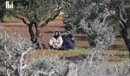 رجلان يستظلان تحت الأشجار هرباً من القصف بمعرة مصرين شمال إدلب - خاص آرام