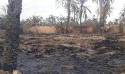آثار الحرائق في بساتين تدمر - ناشطون