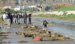 مجزرة نهر قويق في حلب 29 يناير 2013