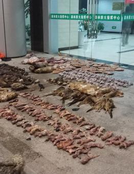 أحد الأسواق الصينية التي تبيع وتذبح الحيونات البرية بطريقة غير مشروعة