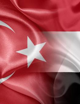 تسعى مصر لمواجهة التأثير المتزايد للرئيس التركي بالمنطقة