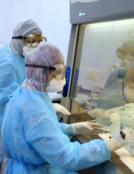 تم اكتشاف 12 حالة إصابة بالفيروس في قطاع غزة