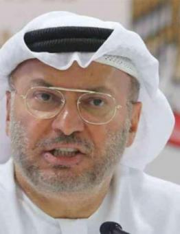 وزير الشؤون الخارجية الإماراتي أنور قرقاش