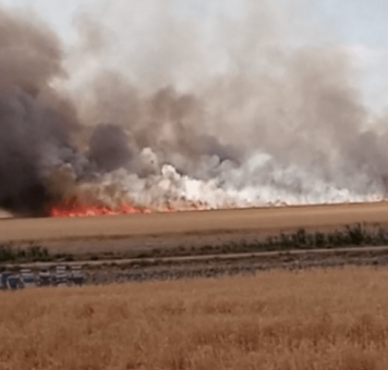 ميليشيات الأسد تحرق المحاصيل الزراعية