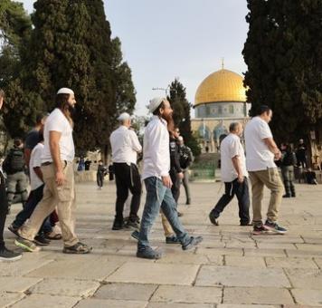 عشرات المستوطنين الإسرائيليين يقتحمون باحات المسجد الأقصى