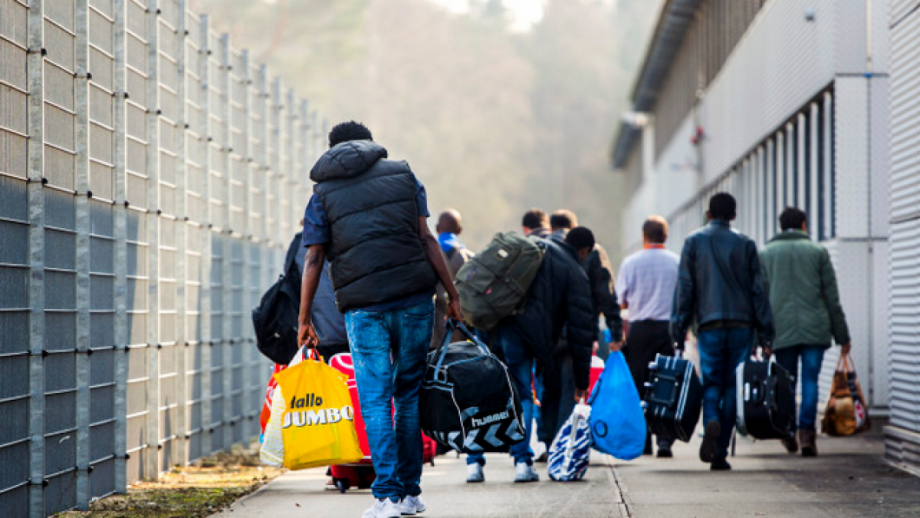 لاجئين سوريين في هولندا
