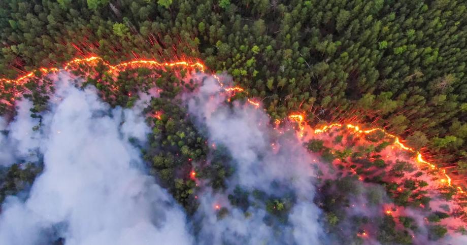 حرائق في غابات روسيا