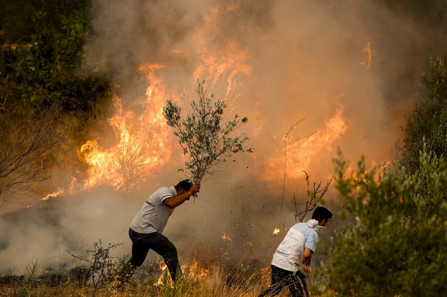 الحرائق في تركيا