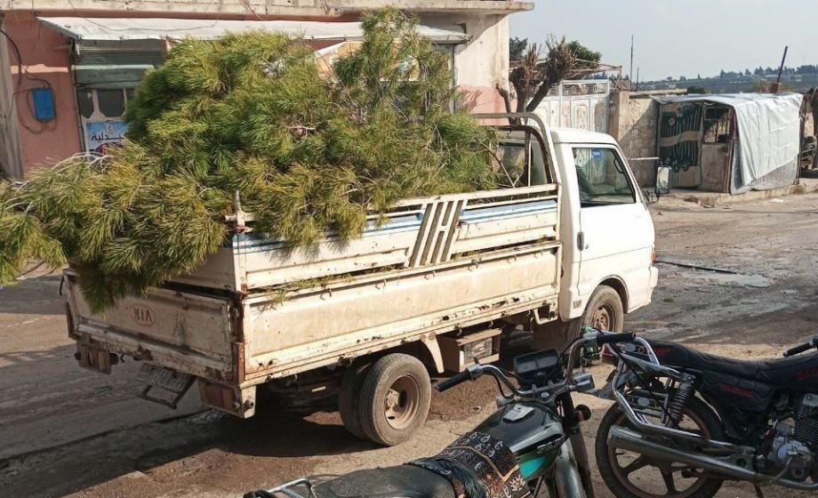 سيارة محملة بالأشجار بريف حلب