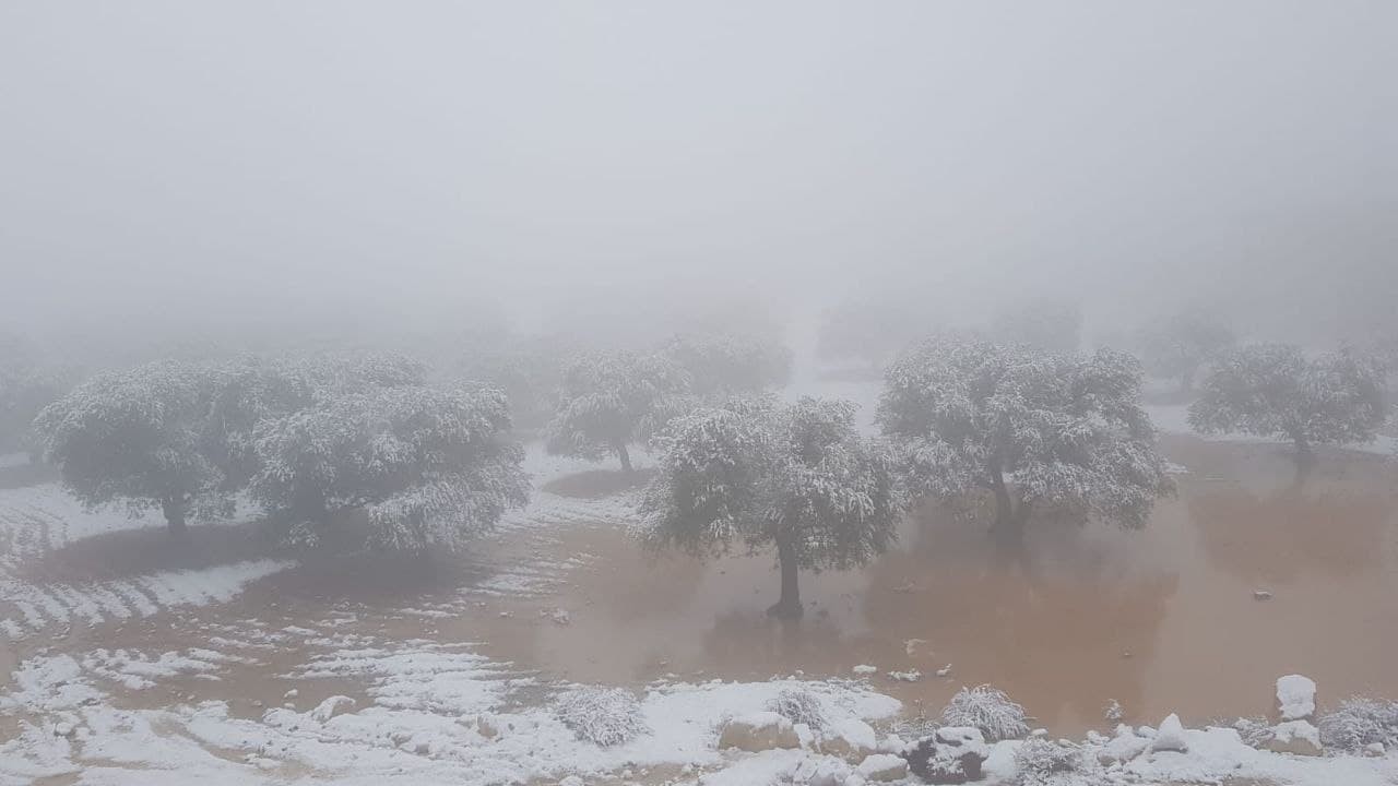 تساقط الثلوج في مخيمات الشمال السوري5.jpg