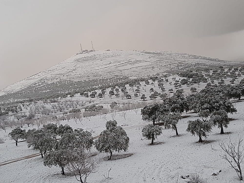 تساقط الثلوج في مخيمات الشمال السوري2.jpg